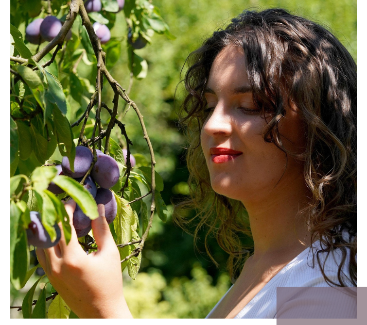Junge Frau pflückt reife Pflaumen von einem Baum – Symbol für Ressourcenbewusstsein.