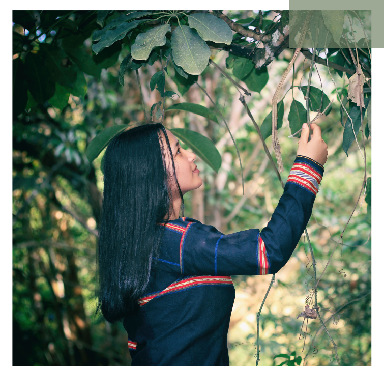 Eine Frau berührt achtsam die Blätter eines Baumes – ein Moment der Verbundenheit mit der Natur im Sinne von SDG 15.