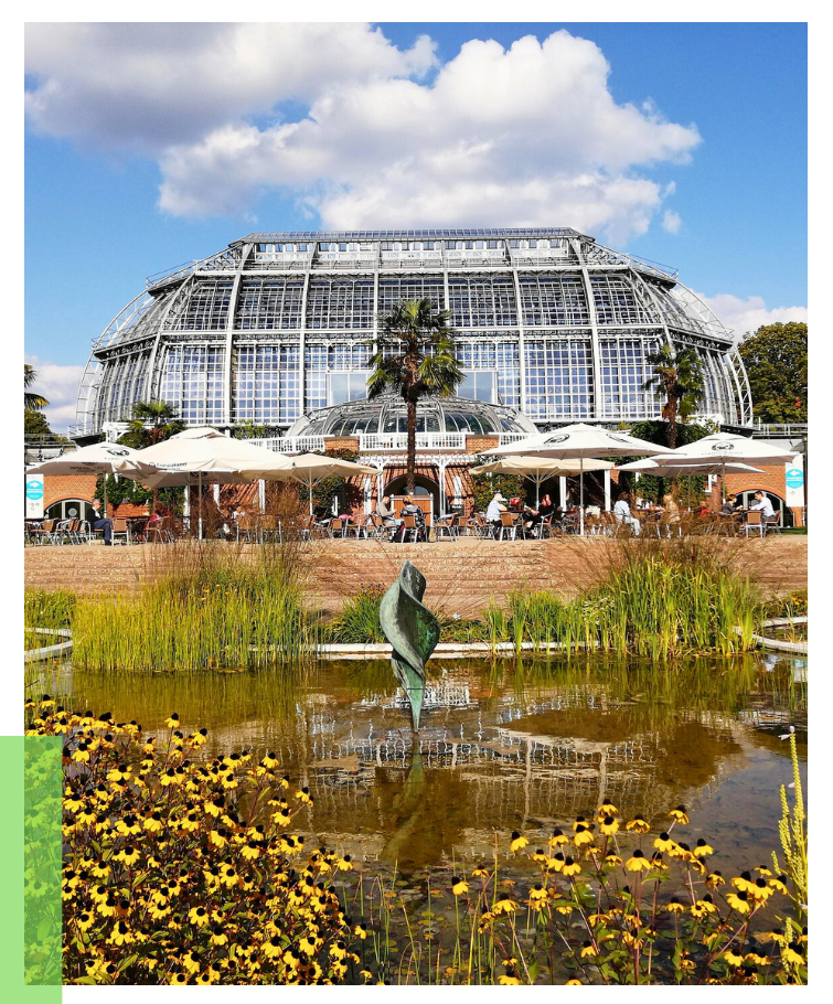 Berliner Botanische Garten von außen, Iim Vordergrund ein Teich mit gelben Blumen und Pflanzen