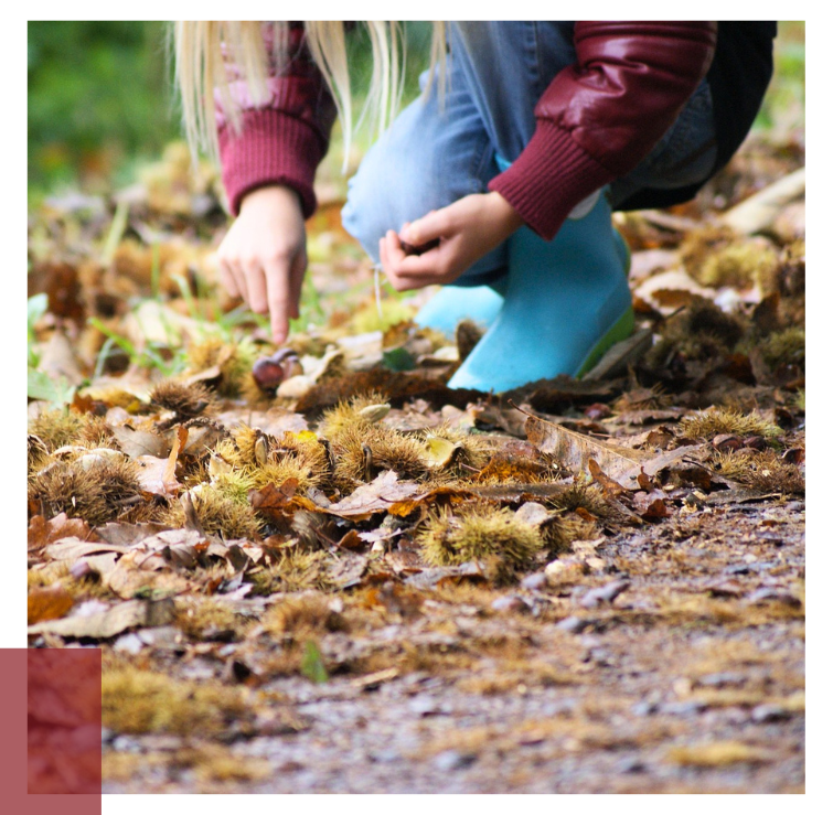 Blätter sammeln im Herbst