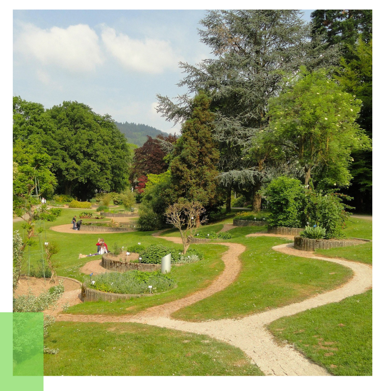 idyllische Landwege im Schwarzwald