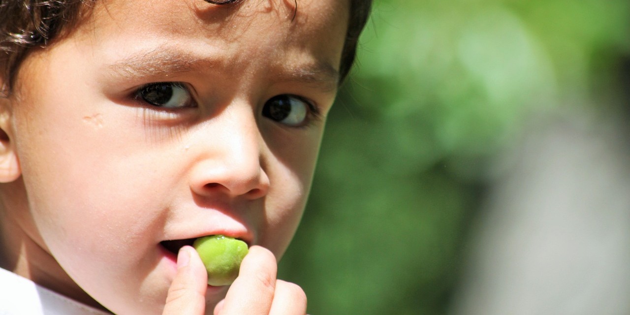 SDG 2 – Zero hunger: Responsible catering at events