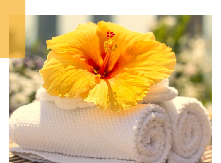 A yellow hibiscus flower blooms on a stack of rolled white towels.