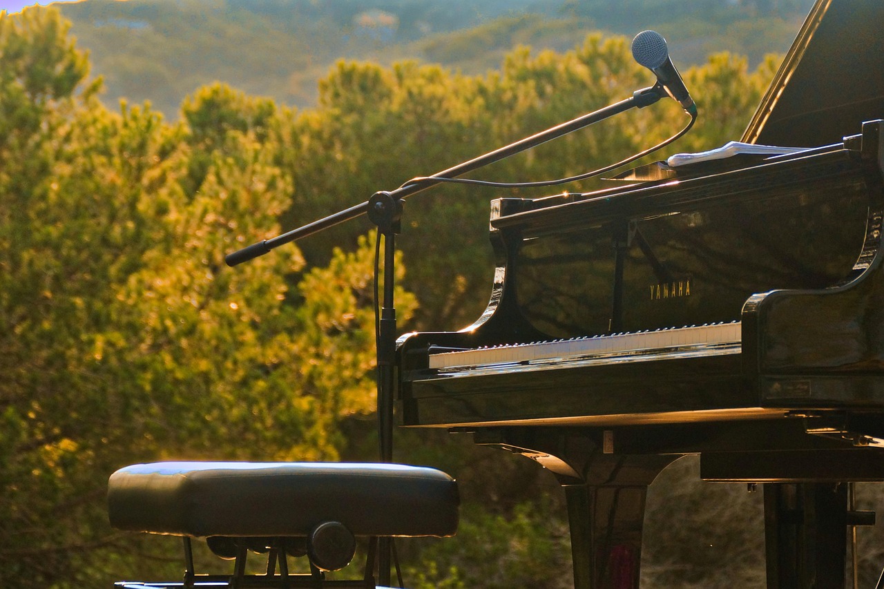 A black grand piano with a microphone is standing outdoors in front of a tree-lined landscape. The image symbolizes cultural events in public spaces and the promotion of sustainable, accessible cultural offerings.