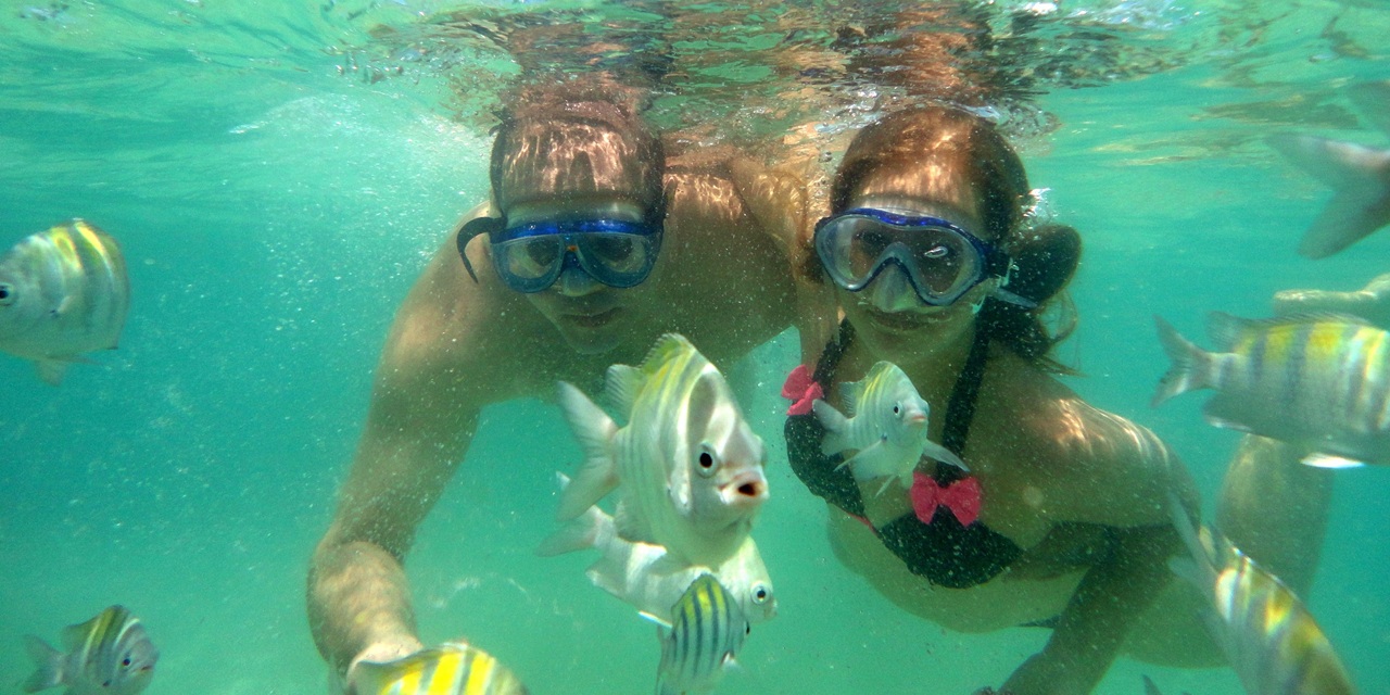 Two people dive underwater, surrounded by several small fish with yellow and black stripes. Promotes awareness for the preservation of coral reefs, fish populations, and clean seawater.