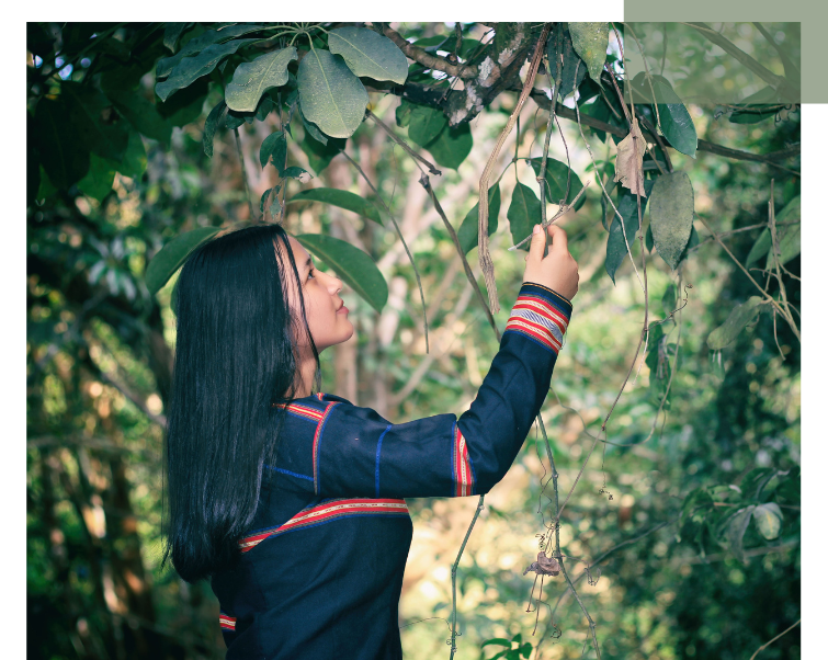 A woman gently touches the leaves of a tree – a moment highlighting connection with nature in line with SDG 15.