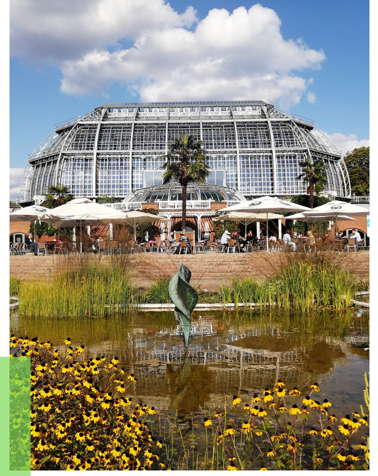 Berlin Botanical Garden from the outside, in the foreground a pond with yellow flowers and plants