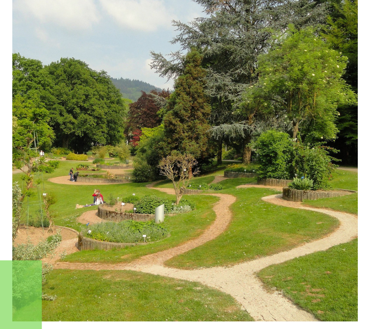 idyllic park in the Black Forest